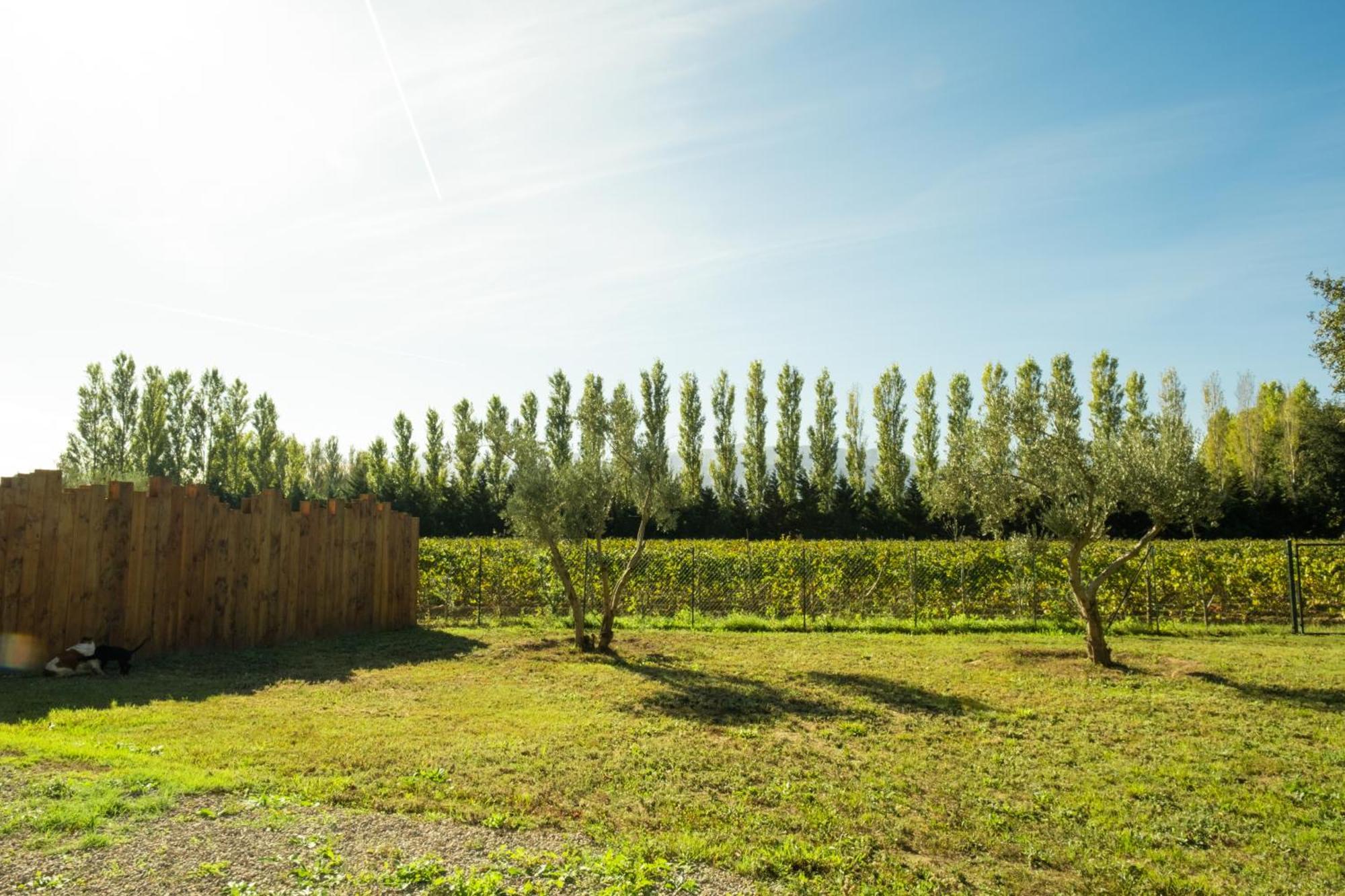 Domaine Saint Thomas