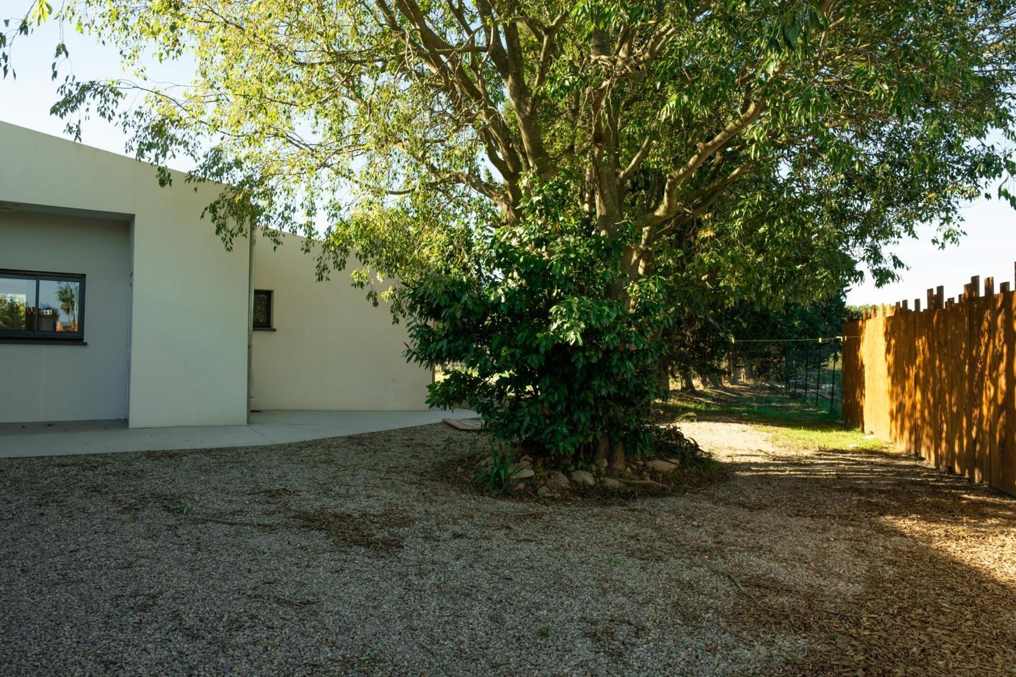 Domaine Saint Thomas *